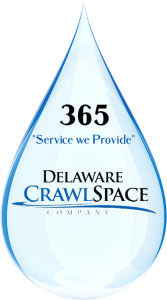 Delaware Crawl Space