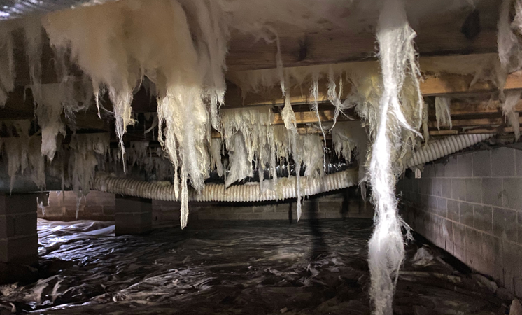 crawl space needing repair